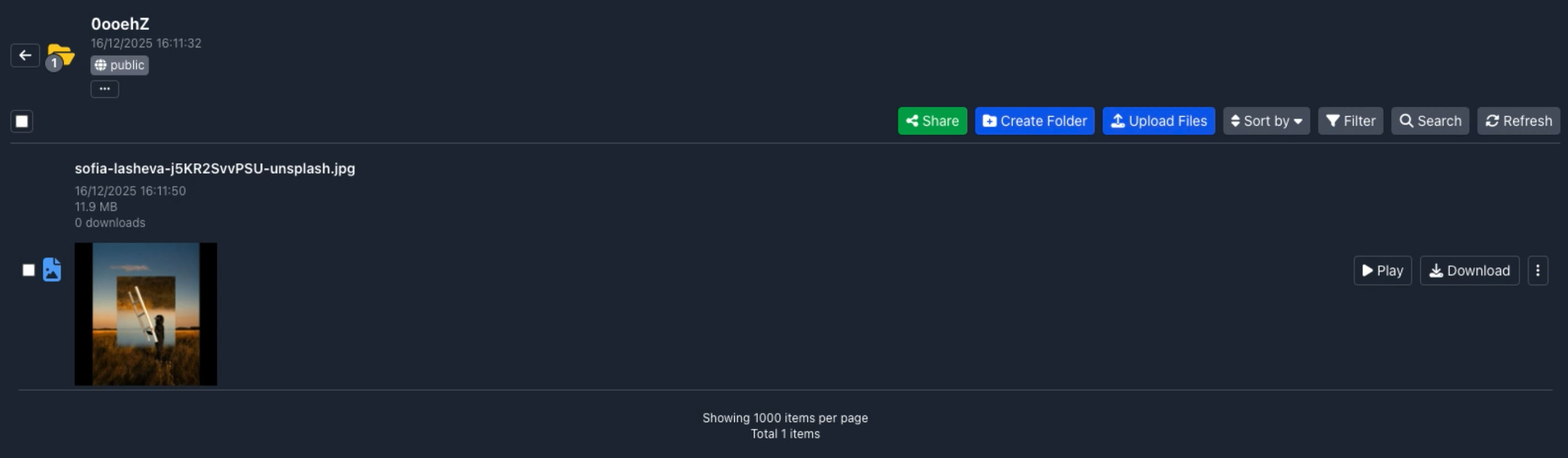 Gofile file manager showing a folder containing one uploaded image and the green Share button
