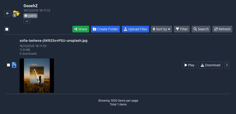 Example Gofile folder in the file manager, showing a file and the Share button